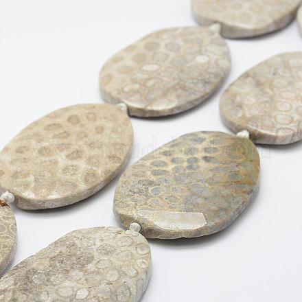 Fossiles naturelle perles de corail brins G-K180-F03-1