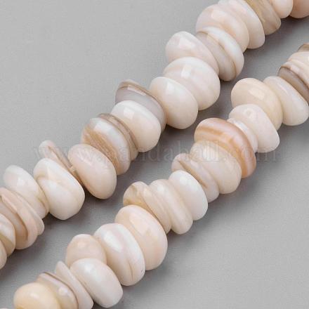 Chapelets de perles en coquille d'eau douce  SSHEL-Q300-014-1