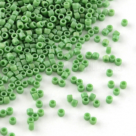 MIYUKI Delica Beads SEED-R015-877-1