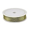 Baking Paint Iron Wire, Round, Gold, 0.3mm, about 328.08 Feet(100m)/Roll