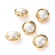 Shell Pearl Beads PEAR-G008-11G-1