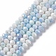 Brins de perles de verre plaquées à facettes GLAA-C023-02A-1