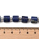 Natürlicher Lapislazuli Perlenstränge&nbsp;G-Z087-D01-5