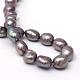 Oval Natural Cultured Freshwater Pearl Beads Strands PEAR-R015-23-2