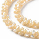 Coquille de trochid naturel / brins de perles de coquille de trocas SSHEL-N034-104-A01-3