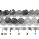 Natural Cloudy Quartz Beads Strands G-G030-A05-01-5