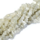 Natürliche weiße Mondstein Chip Perlen Stränge G-E271-112-2