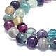 Natural Fluorite Beads Strands G-K245-A10-05-3