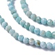 Natural Larimar Beads Strands G-A178-B01-3mm-2