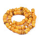 Chapelets de perles de coquille de trochid / trochus coquille SHEL-S258-081-B10-2