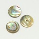 Natural Abalone Shell/Paua Shell Beads SSHEL-I008-02-1