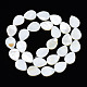 Eau douce naturelle de coquillage perles brins SHEL-S278-068-2