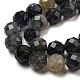 Natural Iolite Beads Strands G-A097-A14-09-2