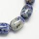 Barrel Shaped Gemstone Natural Blue Spot Jasper Beads Strands G-S114-12-1