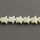 Star Shape Natural Sea Shell Bead Strands SSHEL-R022-2