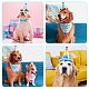 Pet Birthday Paper Props Set Decorations AJEW-WH0241-18B-5