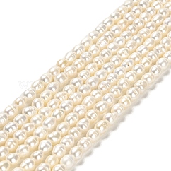 Natürliche kultivierte Süßwasserperlenperlenstränge, Reis, Klasse 2a++, weiß, 5~6x4~4.5 mm, Bohrung: 0.5 mm, ca. 62 Stk. / Strang, 14.25'' (36.2 cm)