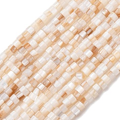 Hebras naturales de cuentas de concha de agua dulce, disco, abalorios heishi, crema, 3x2mm, agujero: 0.6 mm, aproximamente 198 pcs / cadena, 15.75'' (40 cm)