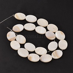 Natürliche Mischform Muschelperlenstränge&nbsp;BSHE-E004-01