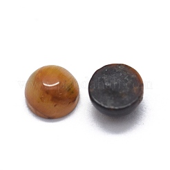 Natürlichen Tigerauge Cabochon&nbsp;G-O175-23-25