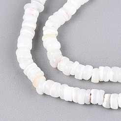 Fili di perle di conchiglia trochid naturale / trochus&nbsp;SSHEL-N040-21H