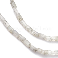 Perline labradorite naturale fili&nbsp;G-C301-03