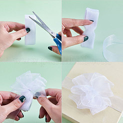 Ruban d'organza&nbsp;ORIB-T001-12mm-1001