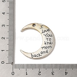 Pendentif en alliage de style tibétain&nbsp;FIND-A038-23AS