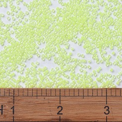 Miyuki Delica Perlen&nbsp;SEED-X0054-DB2031