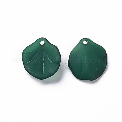 Pendentifs acryliques mats transparents&nbsp;MACR-S371-02A-735