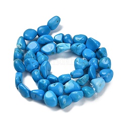 Fili di perline howlite naturale&nbsp;LS-G-P497-01E-37