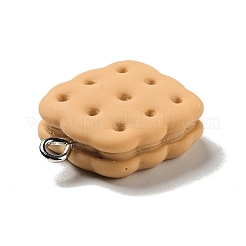 Pendentifs en résine opaque&nbsp;X-RESI-G043-D02-A