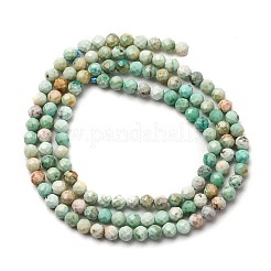 Natürliche peruanische türkisfarbene (Jaspis) Perlenstränge&nbsp;G-A276-C13-3mm