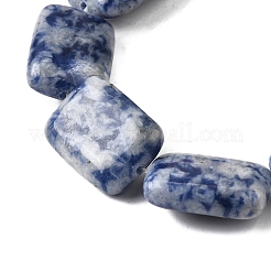 Natürliche blaue Fleck Jaspis Perlen Stränge&nbsp;G-S386-A05