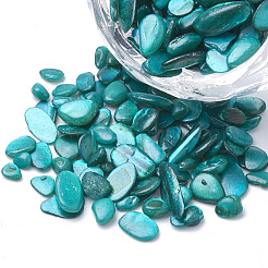 Perle di guscio&nbsp;X-SHEL-R020-07