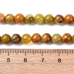 Natürlichen grünen Opal Perlen Stränge&nbsp;G-K245-A17-A02