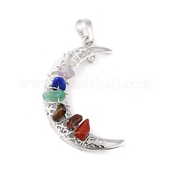 Chakra-Anhänger aus natürlichen Edelstein-Chips&nbsp;G-C235-01-RS