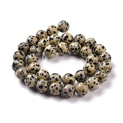 Dalmata naturale perline di diaspro fili&nbsp;G-Q462-10mm-30