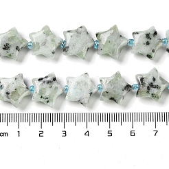 Natürliche Sesam Jaspis / Kiwi Jaspis Perlen Stränge&nbsp;G-NH0005-018