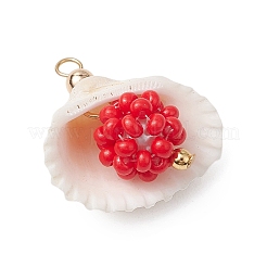 Anhänger aus Muschelschalen und Glasperlen&nbsp;PALLOY-MZ00526