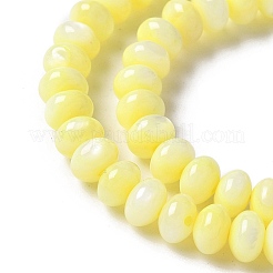 Naturali di acqua dolce perline shell fili&nbsp;SSHEL-C013-07C