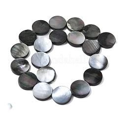 Natur schwarz Lippe Shell Perlen Stränge&nbsp;BSHE-D300-05-20mm