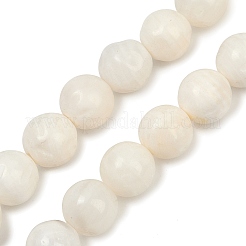 Natürlichen weißen Muschelperlen Stränge&nbsp;BSHE-U002-01