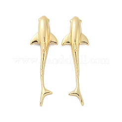 Aretes de latón&nbsp;EJEW-C134-03G