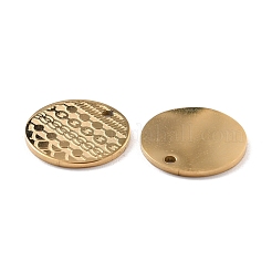 Placcatura ionica (ip) 316 ciondoli in acciaio inossidabile chirurgico&nbsp;STAS-M293-04G