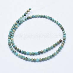 Natürliche Aqua Terra Jaspis Perlen Stränge&nbsp;G-E444-14A-4mm