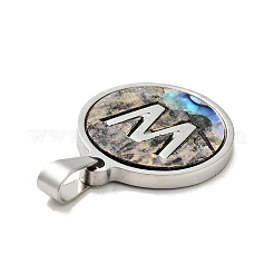 304 Edelstahl mit Anhängern aus Paua-Muschel&nbsp;STAS-G268-02W-P