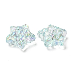 Perles en acrylique transparente&nbsp;LS-X-MACR-D074-07E