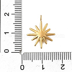 Anhänger aus Edelstahl 304&nbsp;STAS-R159-01G
