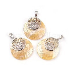 Pendenti in conchiglia mista naturale&nbsp;KK-F751-M-B